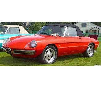 Komplettausstattung für Alfa Spider Duetto Serie 1 von 1966-1969