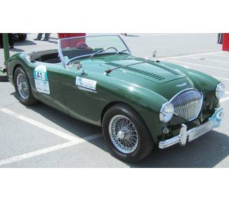 Komplettausstattung für Austin Healey 100 BN1 1952-1955