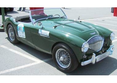 Austin Healey 100 BN1 from 1952-1955 (only LHD)