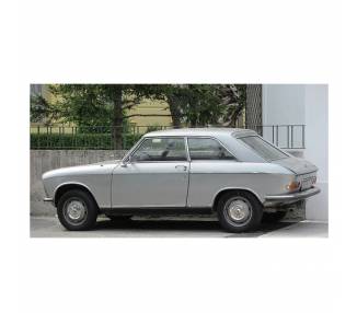 Komplettausstattung für Peugeot 204 Coupe 1966-1970