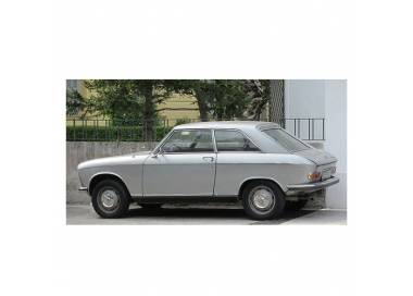 Peugeot 204 coupé from 1966-1970 (only LHD)