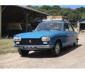 Komplettausstattung für Peugeot 204 Limousine / Break